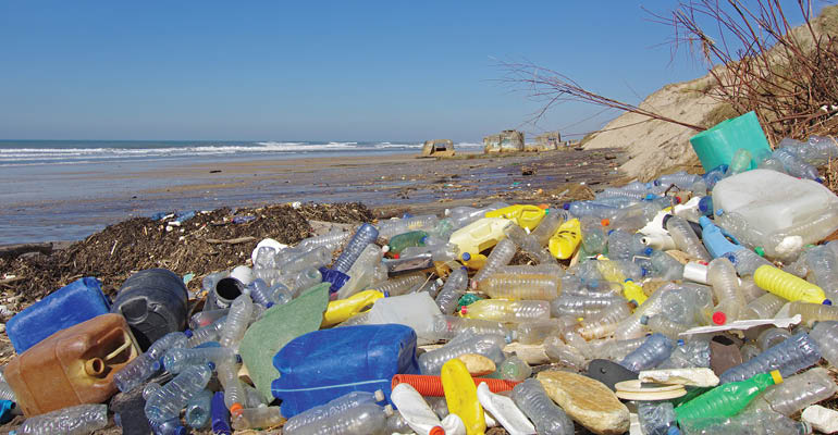 Plastic pollution at the Jersey shore