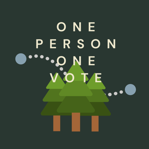 One Person One Vote